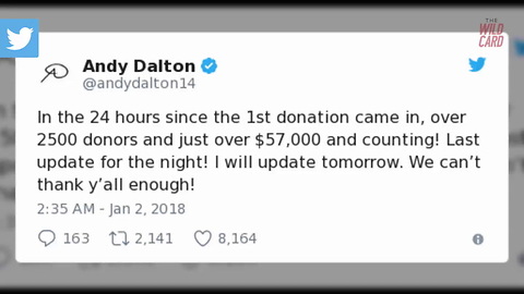 Bills Fans Donate Thousands Of Dollars To Andy Dalton's Charity After He Helped Send Them To Playoffs