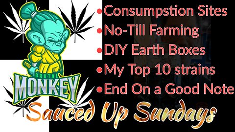 Sauced Up Sunday: No-Till & Chill