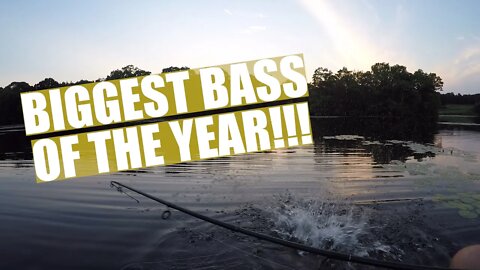 CATCHING A MONSTER LARGEMOUTH BASS | Bass and Beers: Episode 7