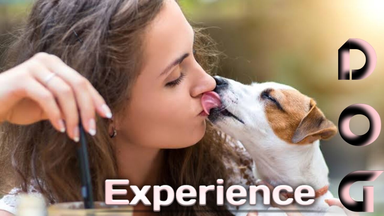 experience dogs || experience dog trainer || experience at dog park