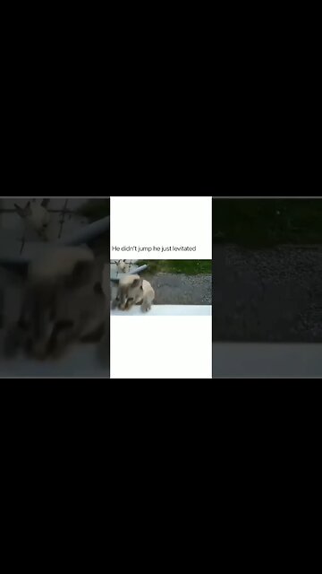 How bro do that? #shorts #subscribe #viral #shortvideo #reels