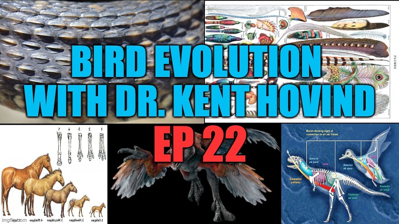 Dr Kent Hovind's Science Class Ep 22 Bird Evolution