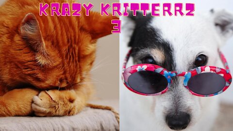 Krazy Kritterz 9🐱 Cutest Animals 🐕