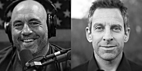 Rogan and Sam Harris (1st Appearance)