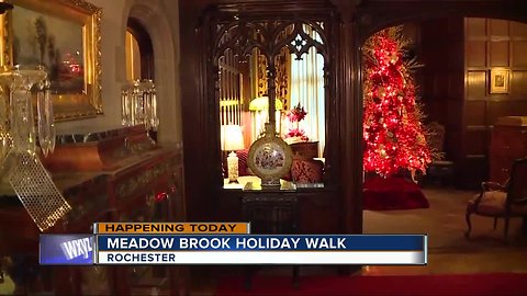 Meadow Brook Holiday Tours