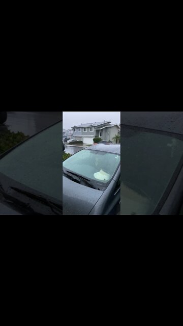 Where did this come from #Shorts #WeirdWeather￼