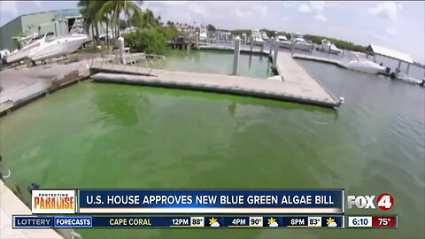 U.S. House approves new blue green algae bill