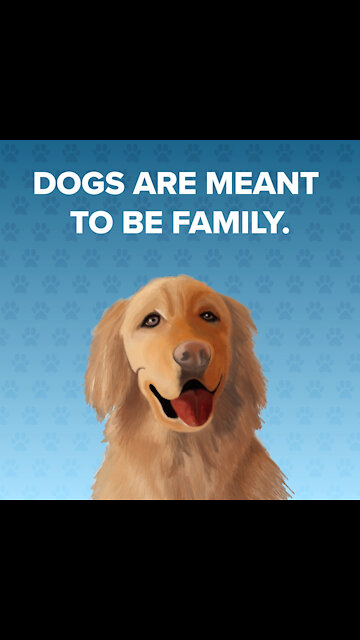 Dogs Are Meant To Be Family [GMG Originals]