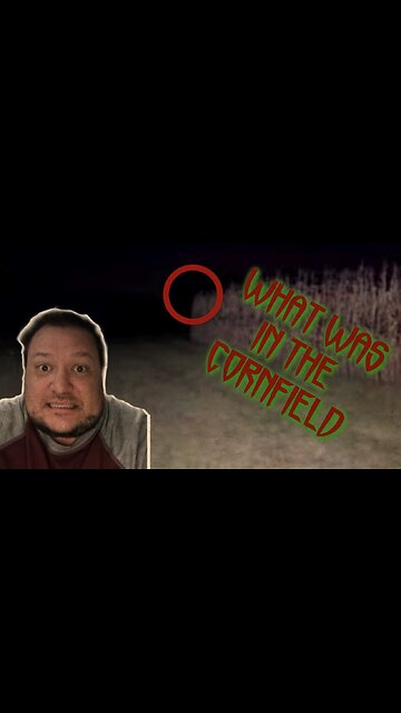 Something in the Cornfield