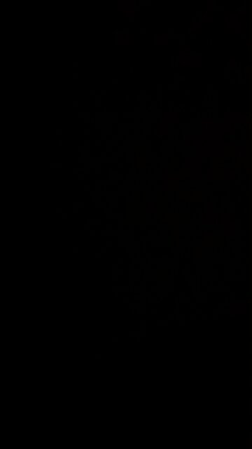 Illegitimate resident of the White House