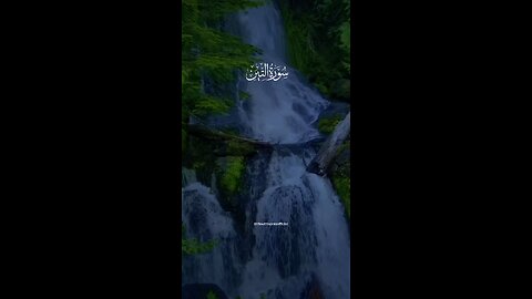 Surah At Teen🌺