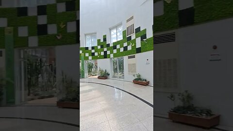 부천식물원 - 1층 중앙 대형 야자수화분