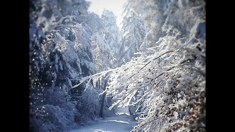 Zwölf Heilige Nächte