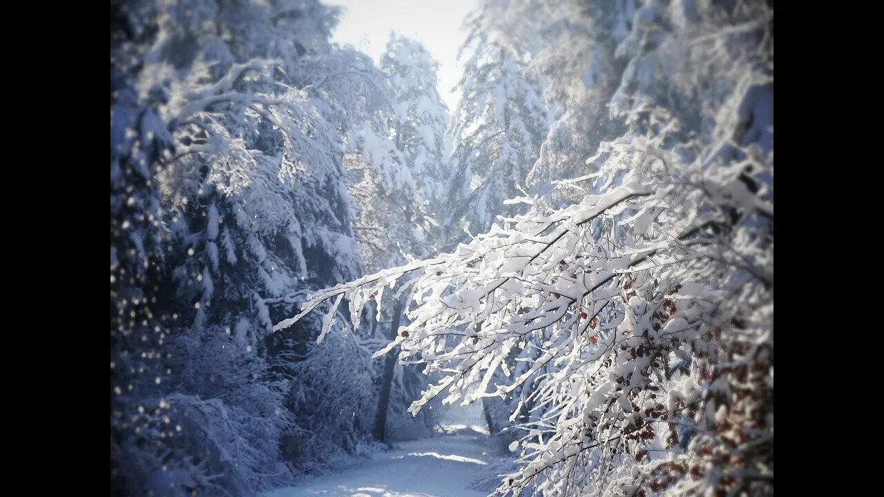 Zwölf Heilige Nächte