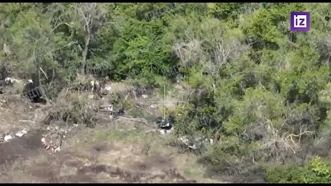 Ukrainian forces taking fire from Russian artillery in the area of Zolote