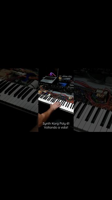 Synth Análogico Korg Poly 61 voltando a Vida #vintagesynthesizer #korg