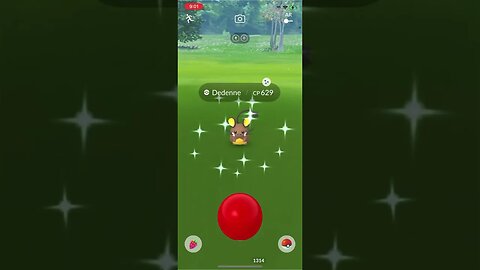 Shiny Compilation