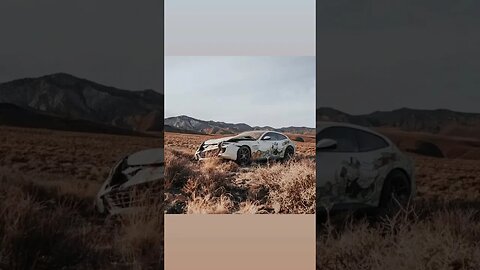 Crashed Sports Car