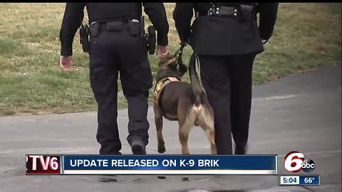 K-9 partner of fallen sheriff's deputy no longer making public appearances