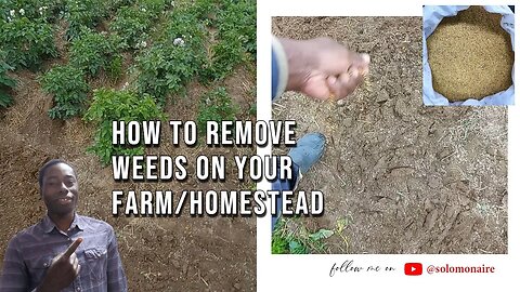 How To Remove Weeds easily 😱| #farming #food #homemade #shorts #short #subscribe #investing #money