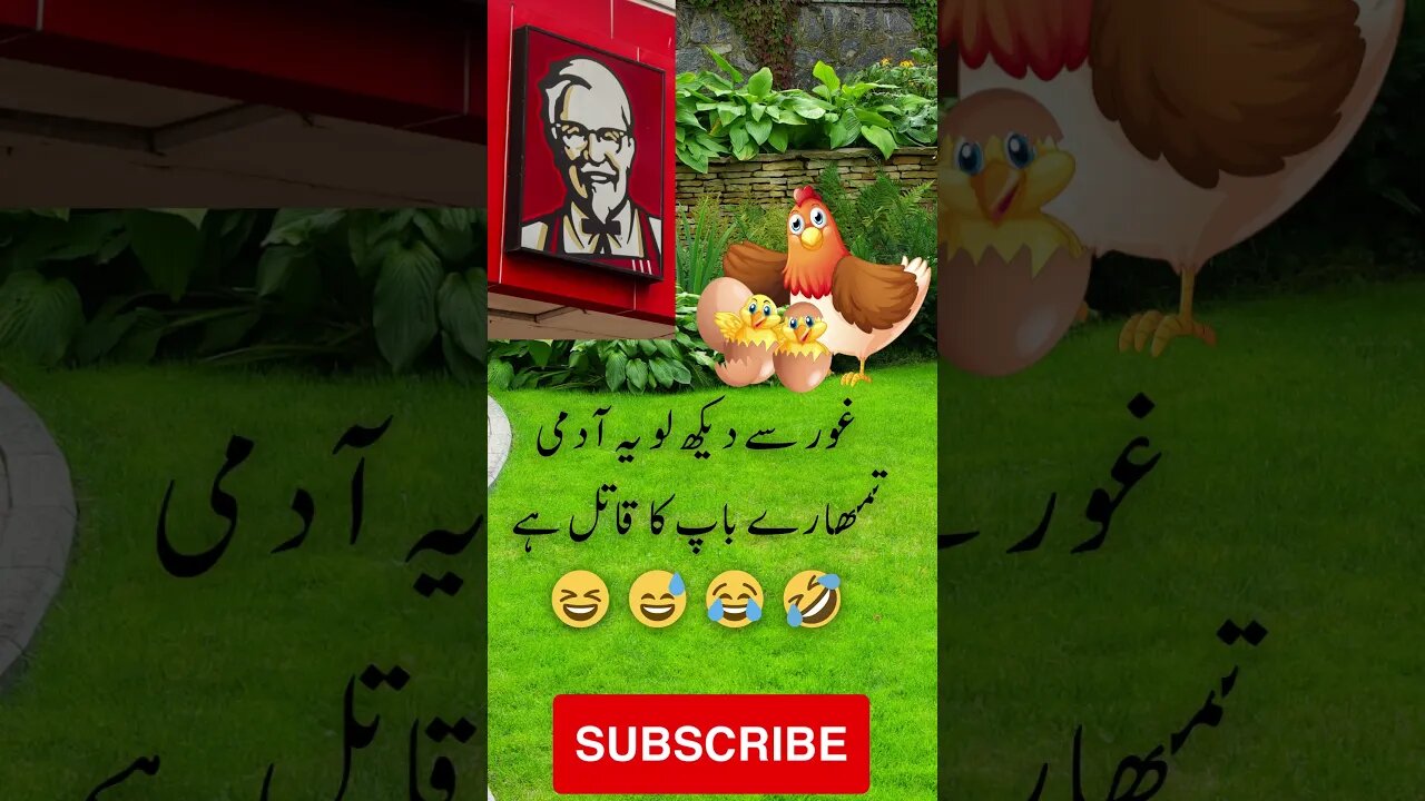 KFC is murderer of Chicken Husband | interesting facts | funny quotes | joke in Urdu