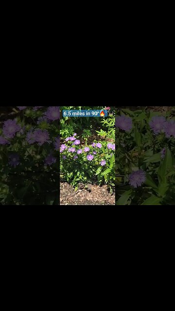 Mountain Lakes Boulevard Walking Path #walking #path #mountainlakes #NJ #morriscounty