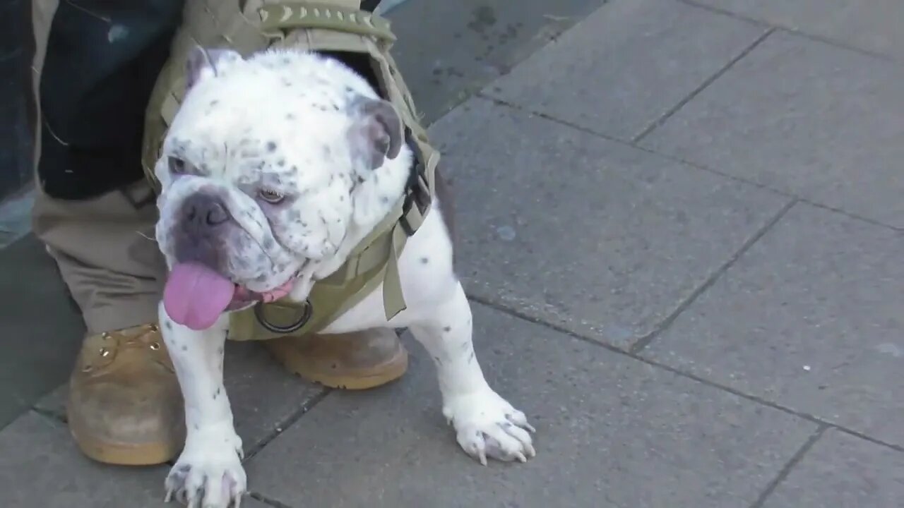 CAN YOU NOT DO THAT🙄🙄🙄🙄🙄🙄🙄🙄🙄🙄🙄 #brightonfreedomrally