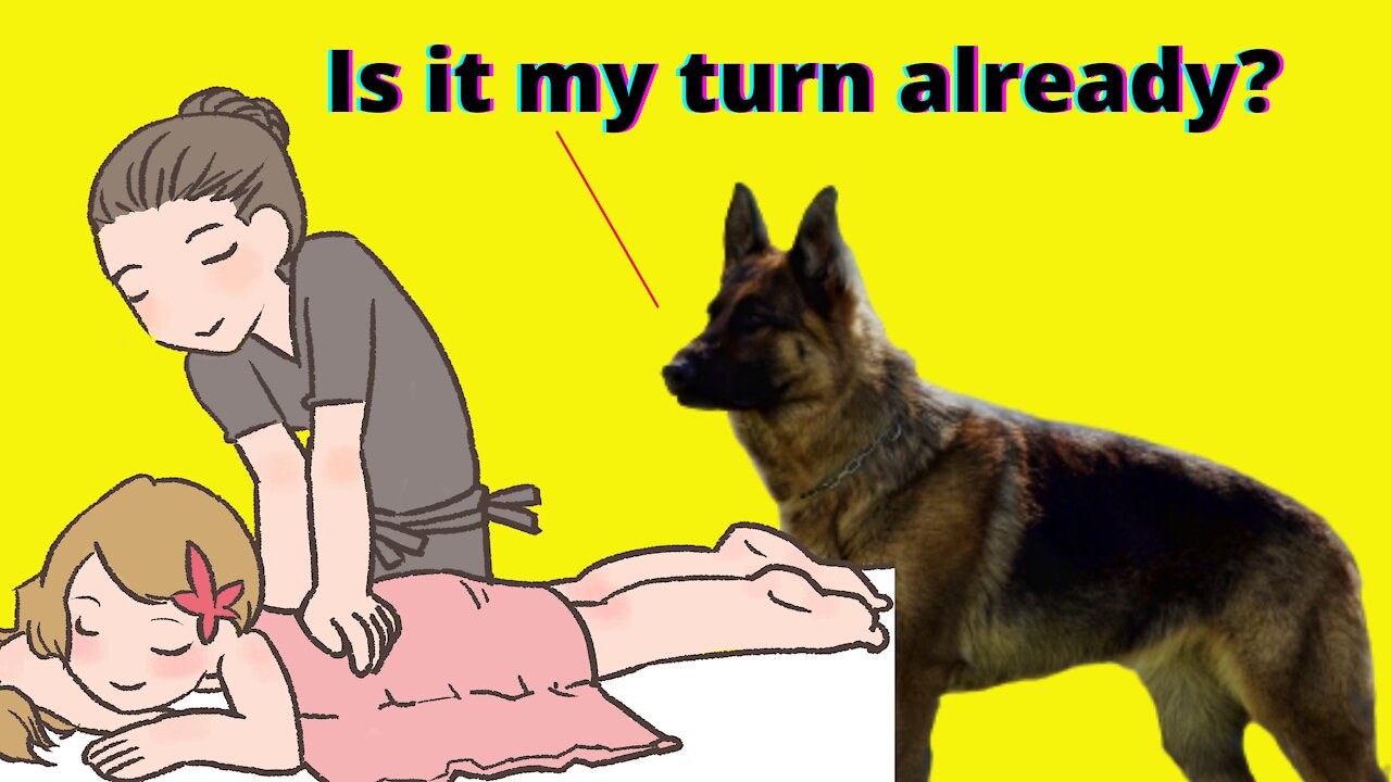 Massaging the German Shepherd