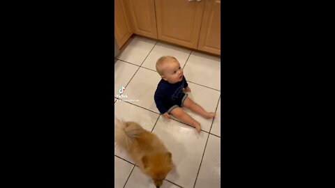 Baby Gives Puppy a Pat on the Back