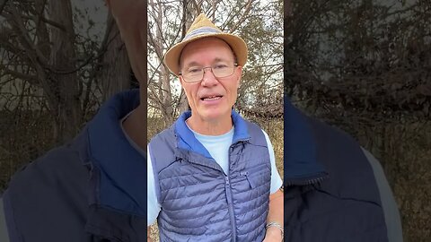 Real Angels in our lives #shorts #bible #faith #jesus #god #angel #christian