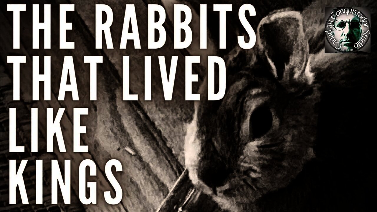 Raising Rabbits | In a Hobbit House (Revised 2022). #Rabbits #survive