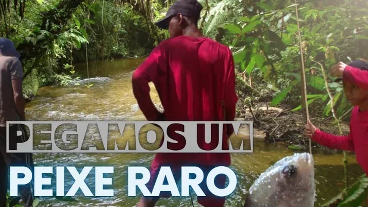 esse peixe ainda existe😳😳😳😳😱😱😱