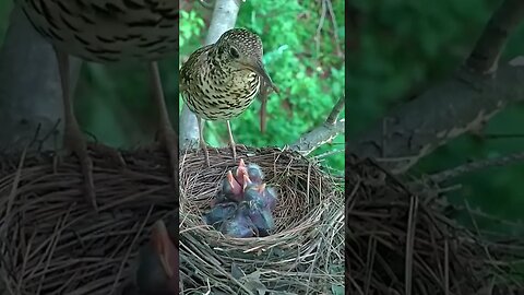 caring mother