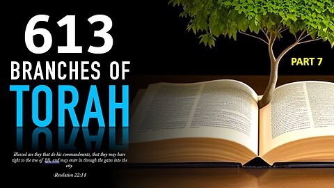 Branches of Torah Vol 7