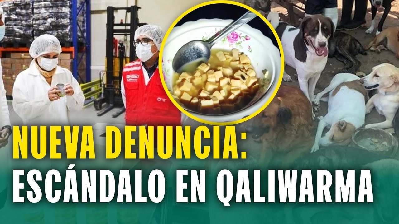 Nueva denuncia en Qaliwarma: Escolares y perros comían las mismas conservas