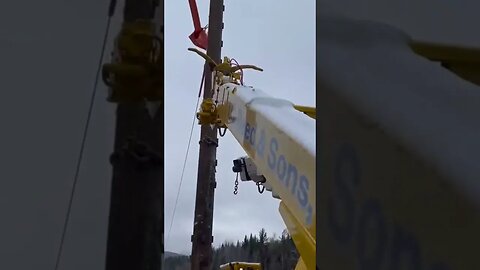 Off Road Pole Structure Replacement