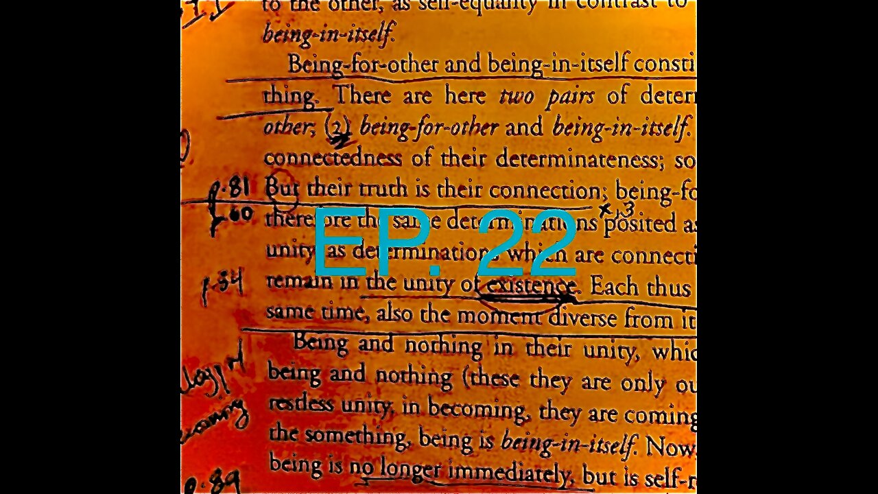 Ep.22, Something, Being-For-Other, Being-In-Itself