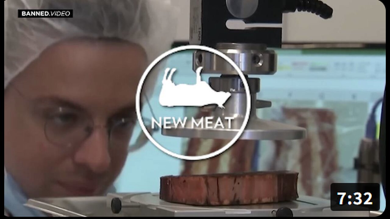 The NWO To Force 3D Printed Steak On The Public