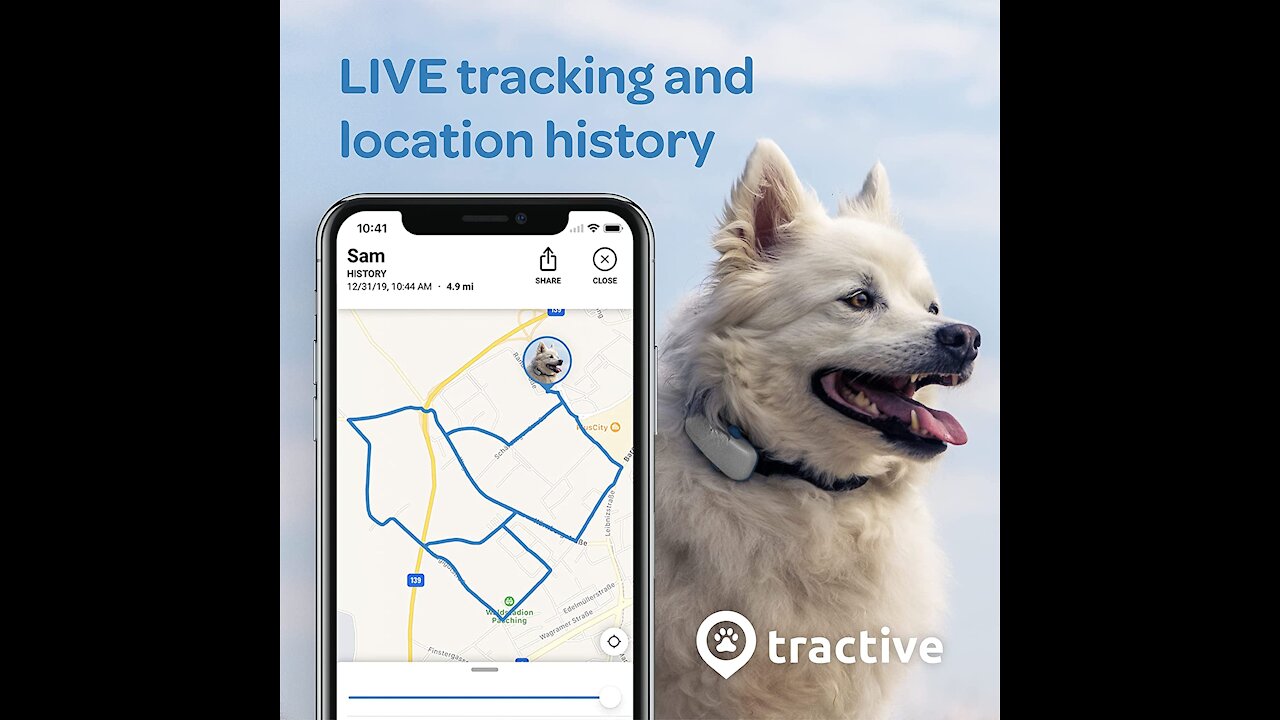 Best GPS Dog Tracker - Location & Activity Tracker for Dogs with Unlimited Range