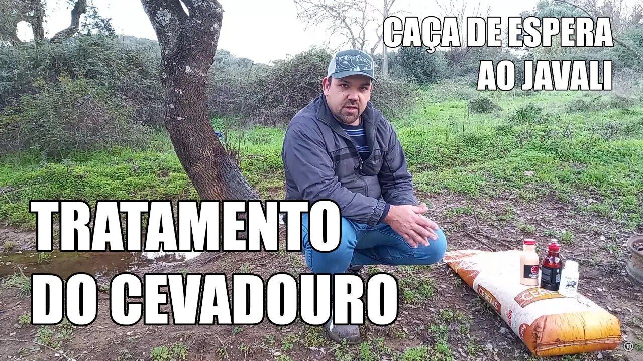 Tratamento de um Cevadouro | Caça de Espera ao Javali