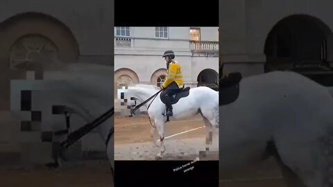 police horse acting strange #horseguardsparade