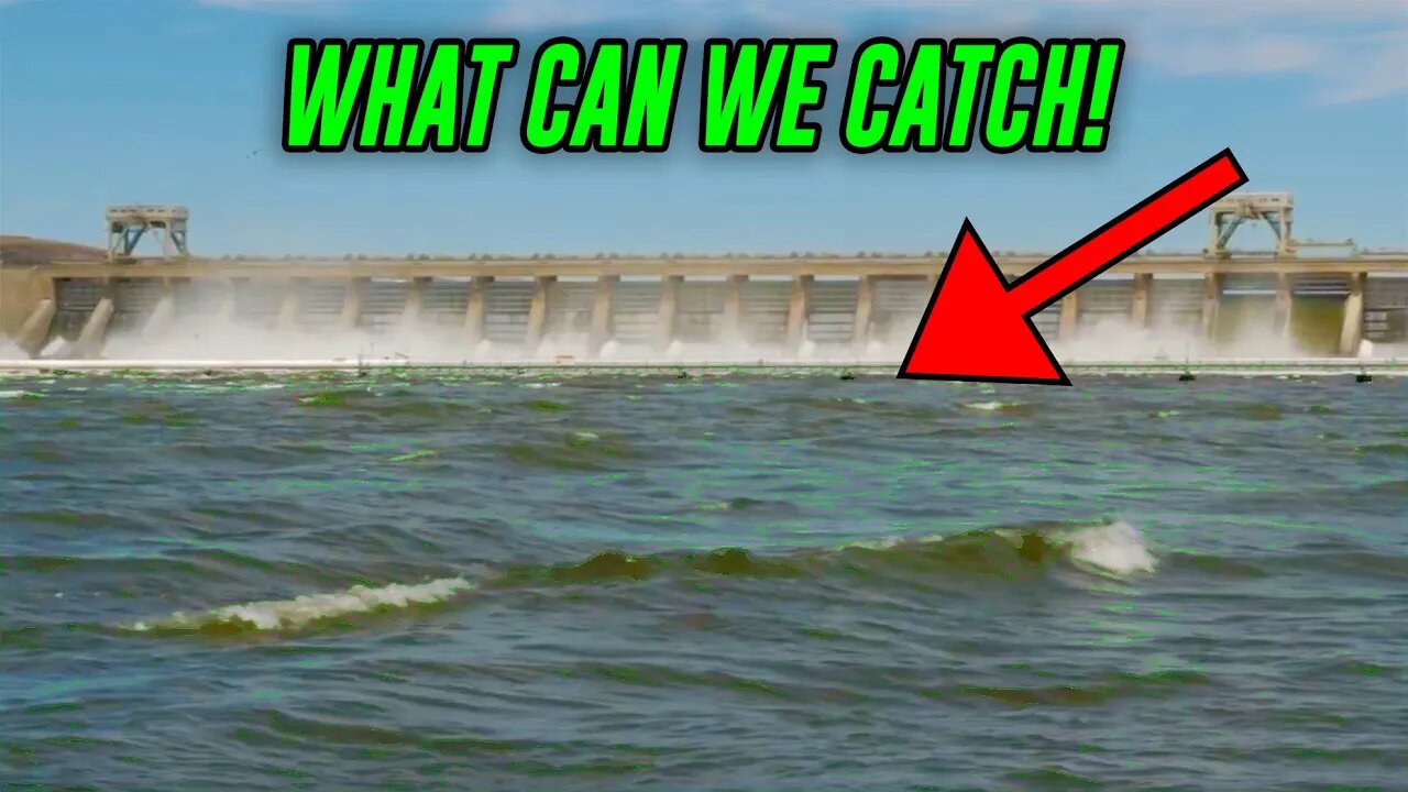 Fishing MASSIVE Spillway - Multi Species River ADVENTURE!