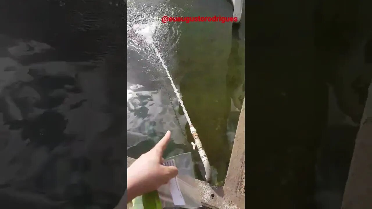 COMO HOMEM ACORDA DE MANHÃ #shorts