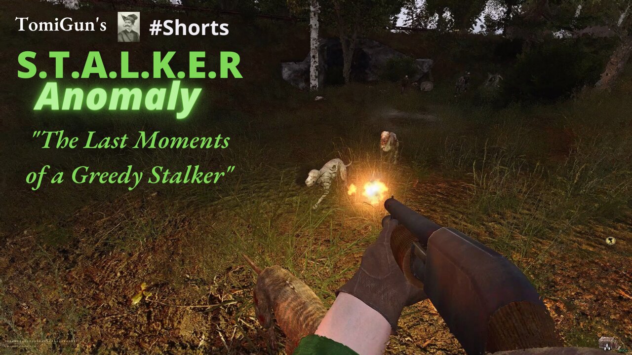 The Last Moments of a Greedy Stalker (S.T.A.L.K.E.R Anomaly) #Shorts