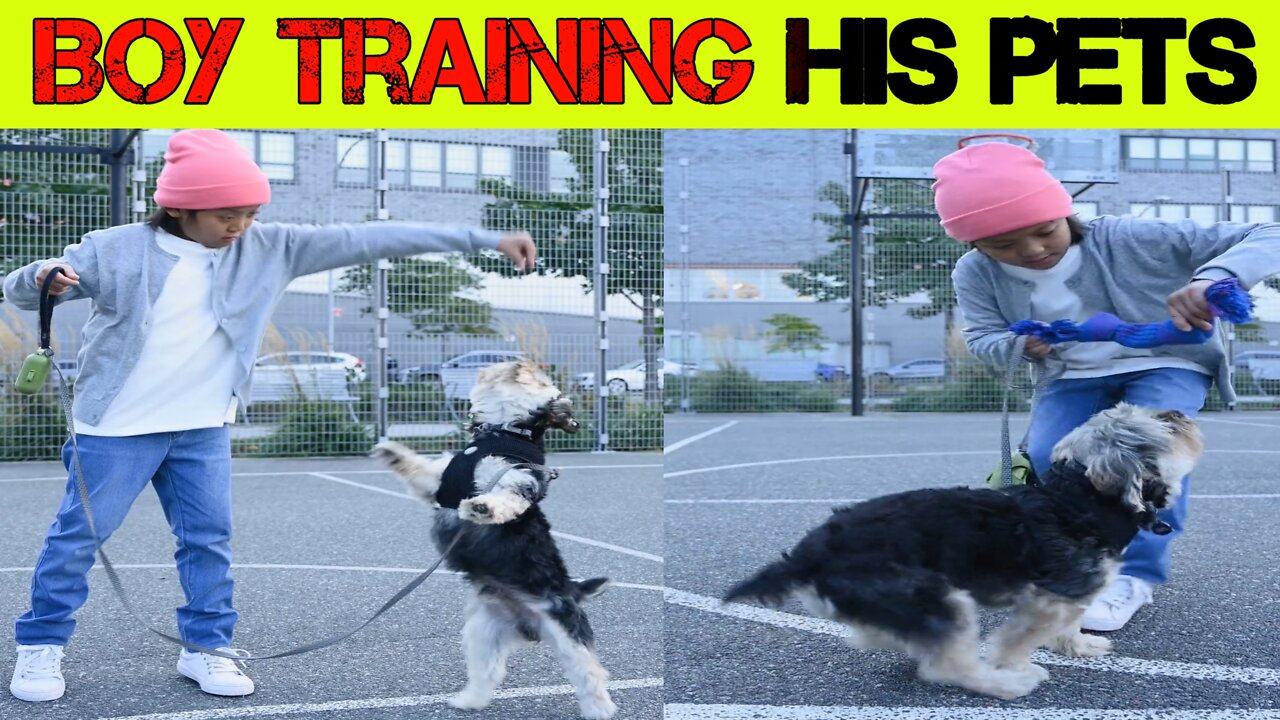 What kind of training is it?