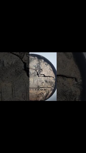 $250 Nickel Coin! #shorts #coin