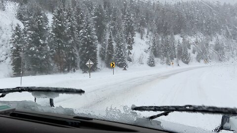 Snowmobiles along side me as I drive