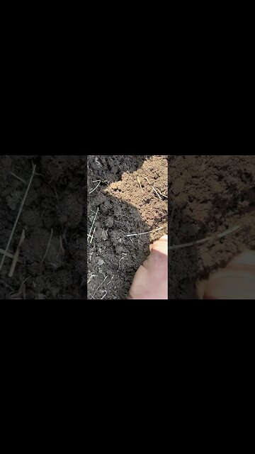 two cent piece #metaldetecting #shorts