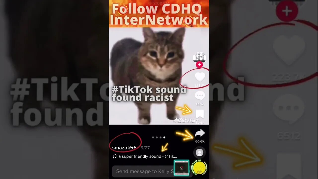 #tiktoksoundracist