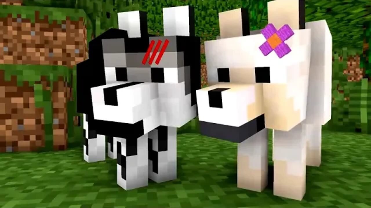 WOLF & LIFE & MOVIE & & Cubic & Minecraft & Animations & & All & Episodes + BONUS